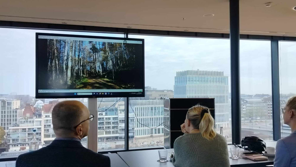 Ludzie patrzą w monitor