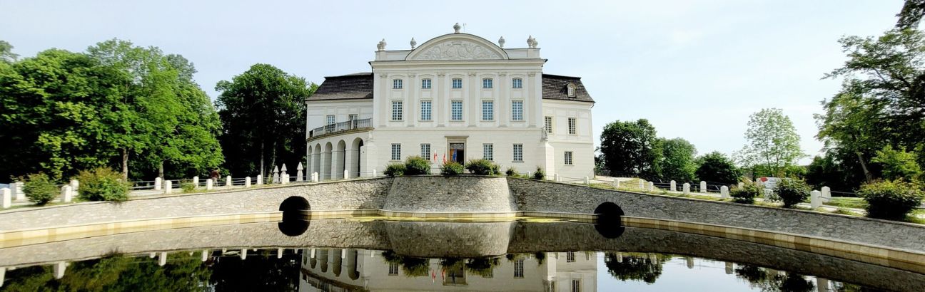 Pałac w Kurozwękach z lotu ptaka